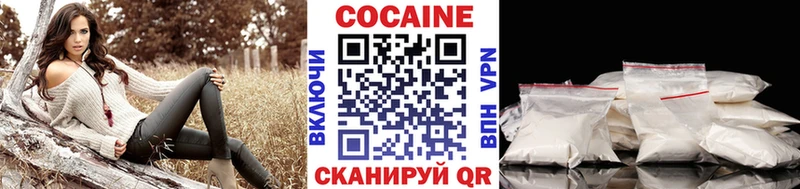 MEGA как войти купить закладку Задонск Cocaine Эквадор