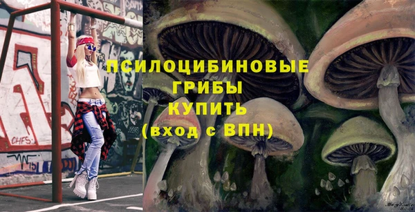 не бодяженный Заводоуковск