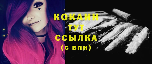 не бодяженный Заводоуковск