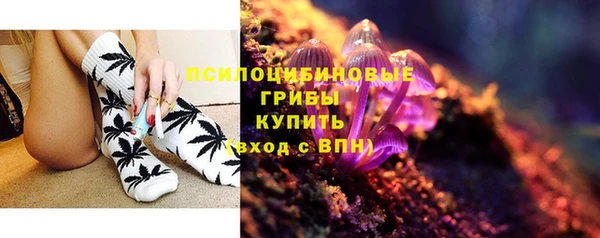 не бодяженный Заводоуковск