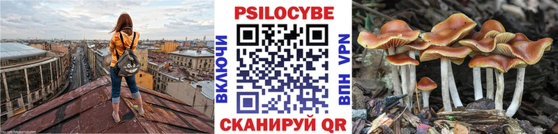 Галлюциногенные грибы Psilocybe  Задонск 